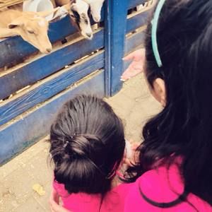 Meet your Posher, Rabya